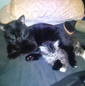 Meet your Posher, James